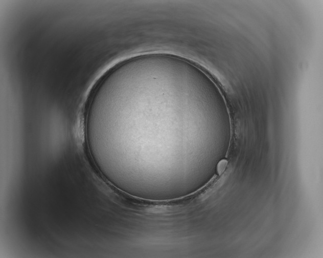 X0000102391510200808081217