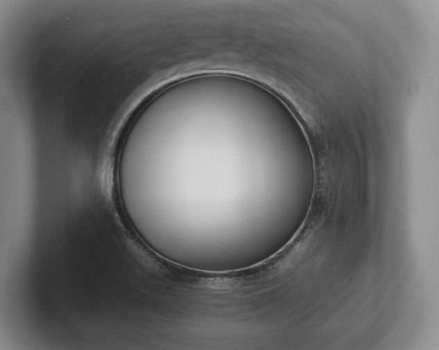 X0000102391511200808081217