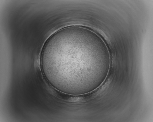 X0000102391513200808081217