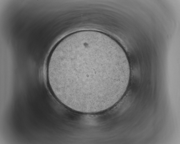 X0000102391514200808081217