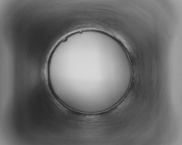 X0000102391516200808081217