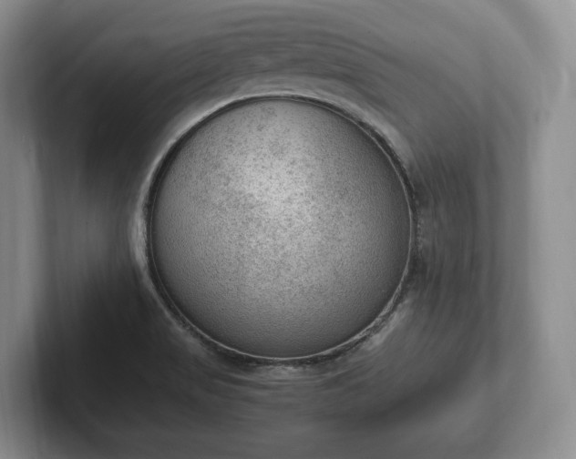 X0000102391517200808081217