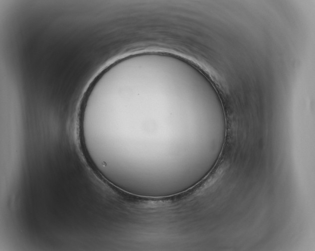 X0000102391518200808081217