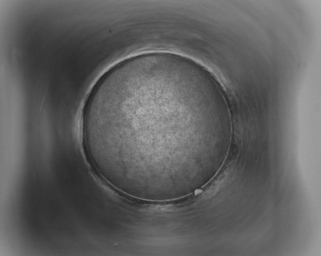 X0000102391519200808081217