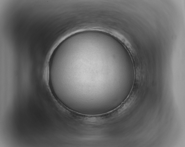 X0000102391520200808081217