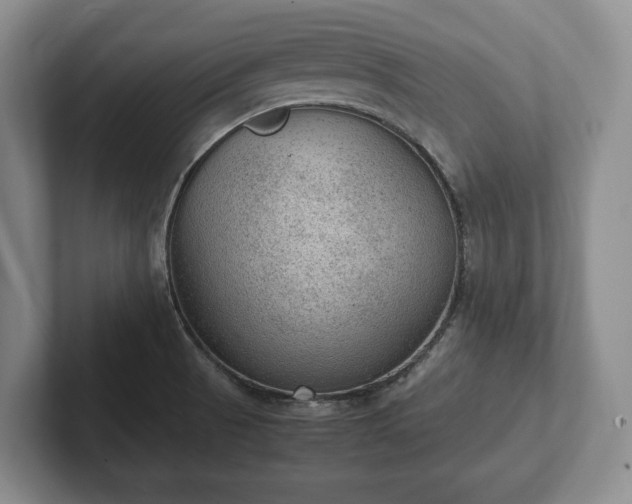 X0000102391521200808081217