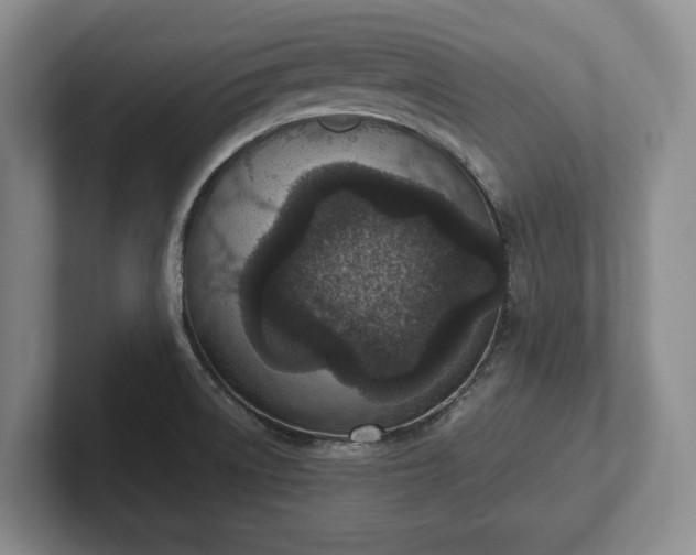 X0000102391522200808081217