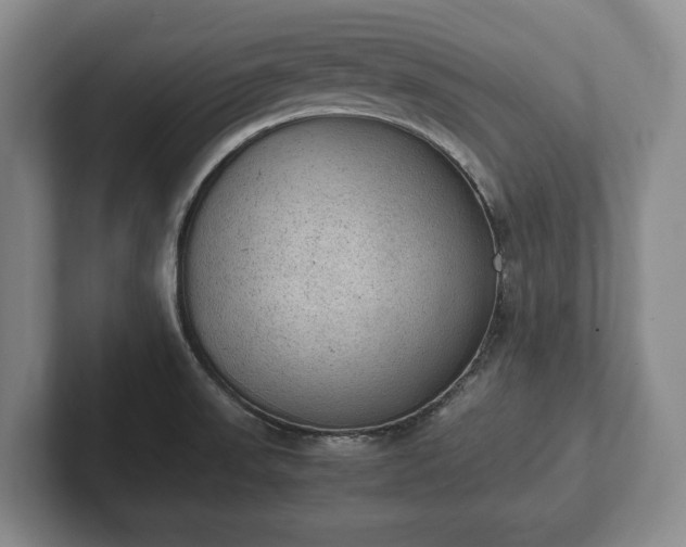 X0000102391523200808081217