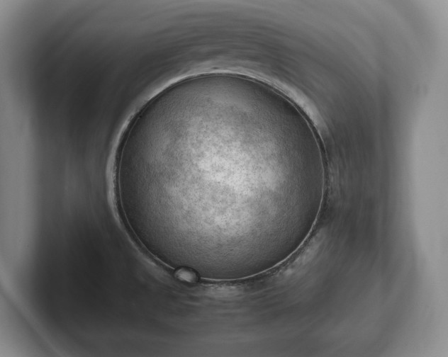 X0000102391525200808081217