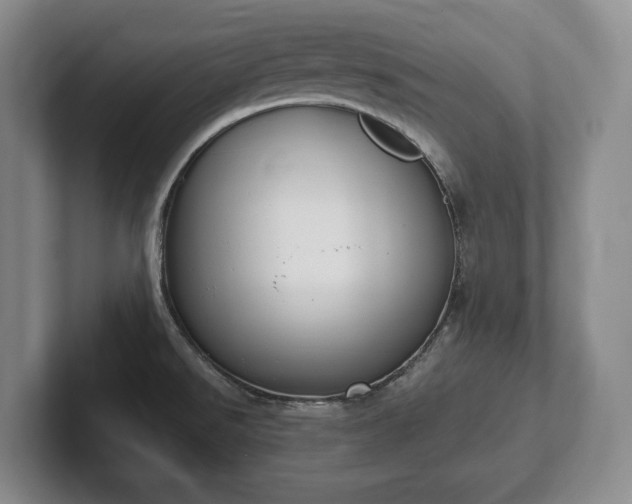 X0000102391526200808081217