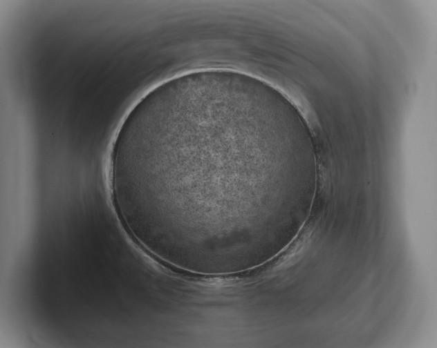 X0000102391527200808081217