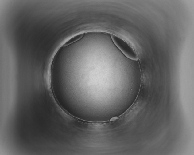 X0000102391528200808081217