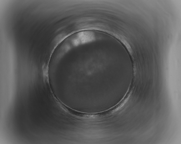 X0000102391529200808081217