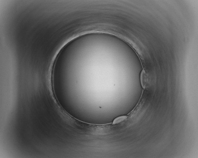 X0000102391530200808081217