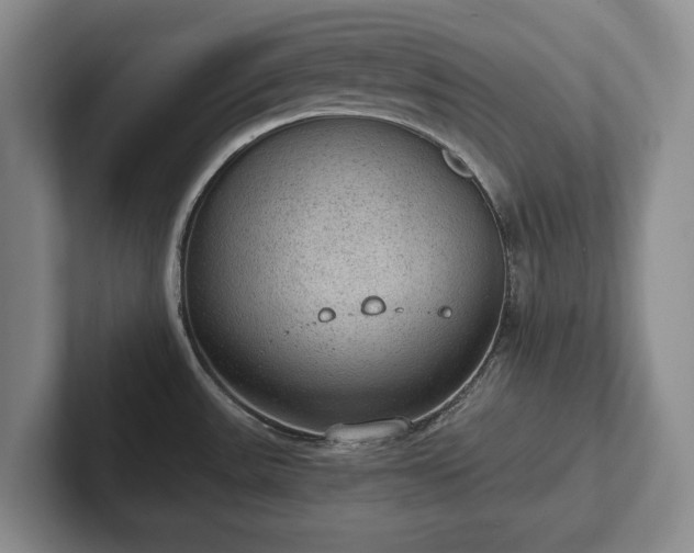 X0000102391531200808081217