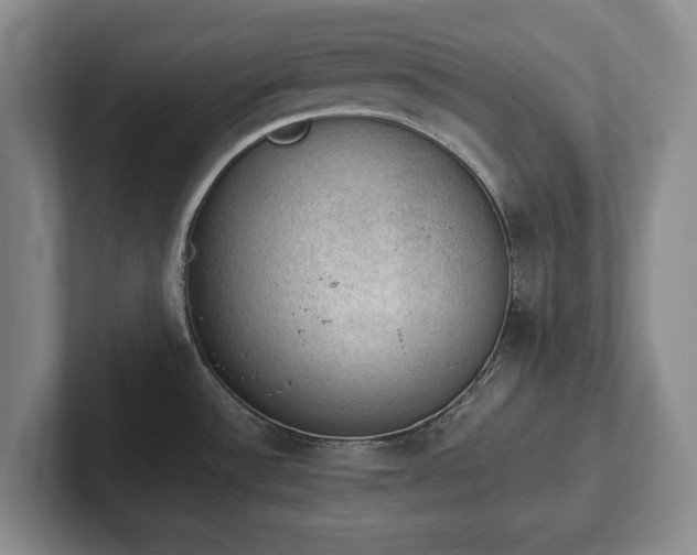 X0000102391532200808081217