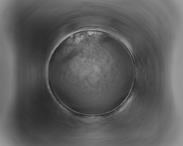 X0000102391533200808081217