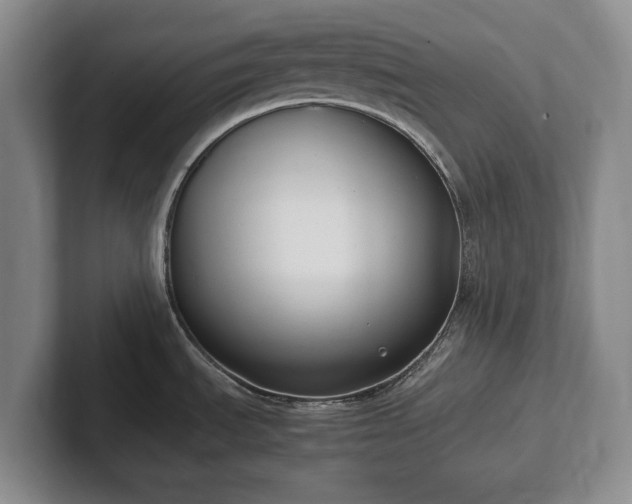 X0000102391535200808081217