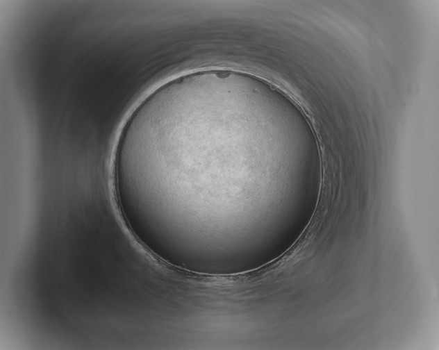 X0000102391536200808081217