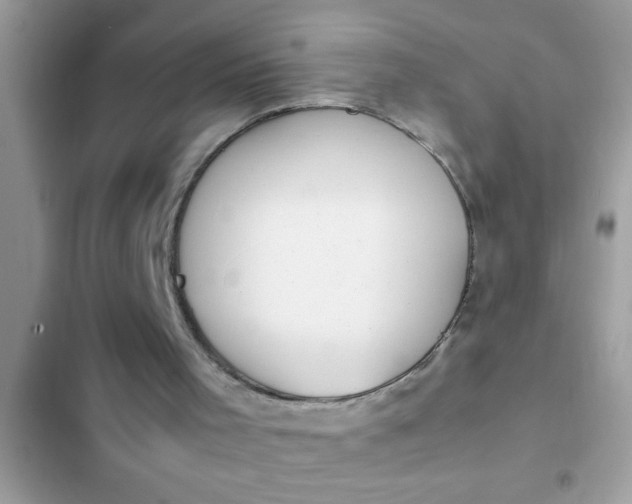 X0000102390001200808151931