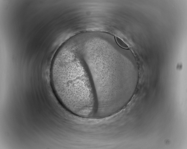 X0000102390002200808151931