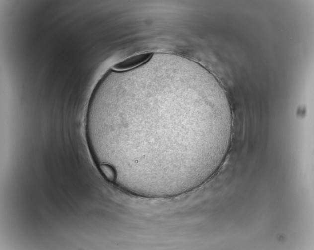 X0000102390003200808151931