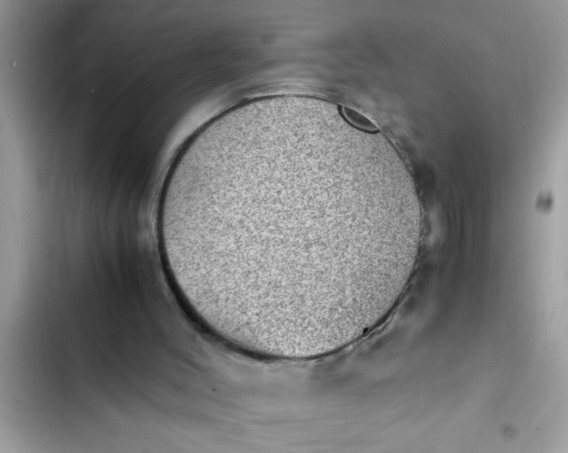 X0000102390004200808151931