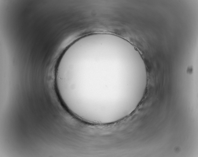 X0000102390005200808151931