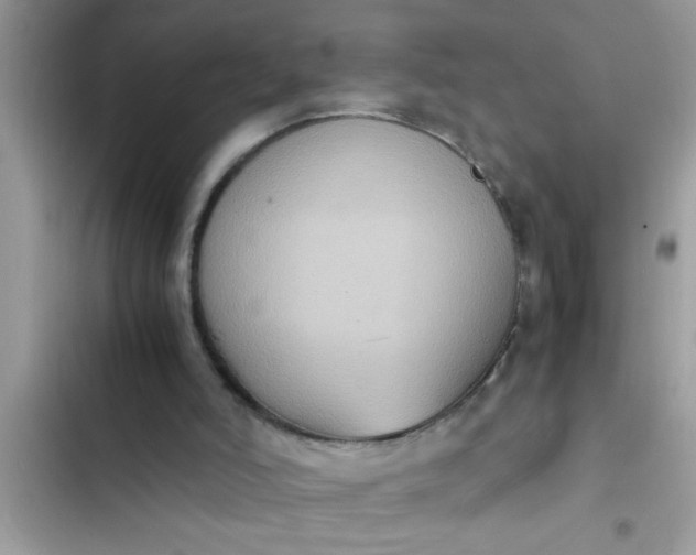 X0000102390006200808151931