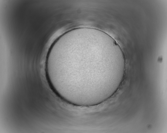 X0000102390007200808151931