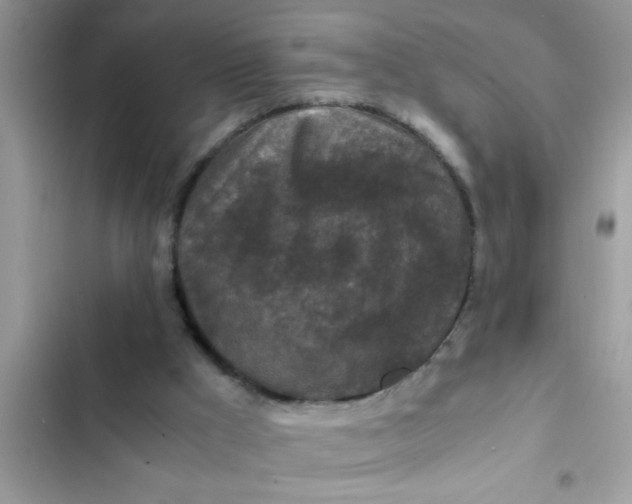 X0000102390009200808151931