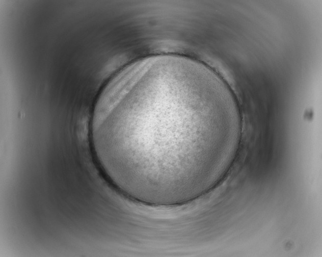 X0000102390010200808151931