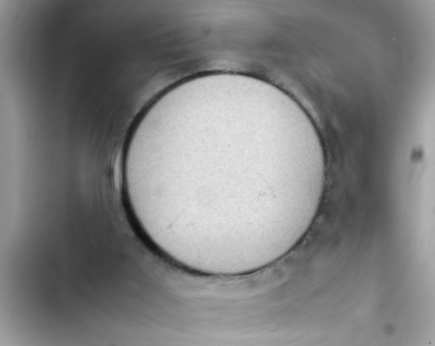 X0000102390011200808151931