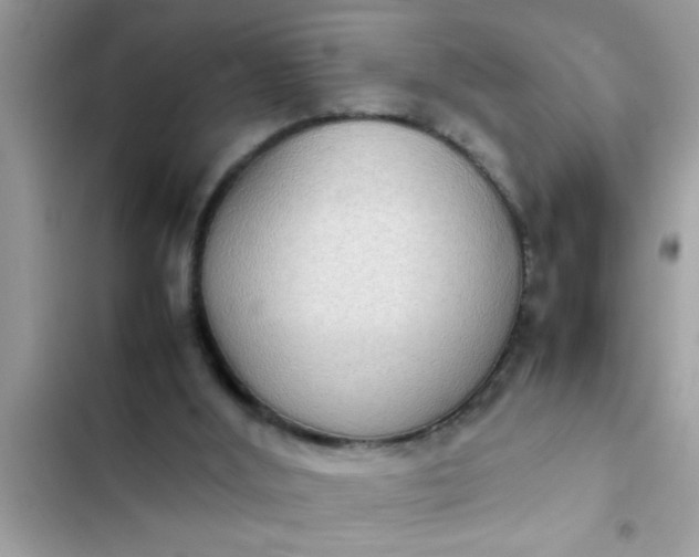 X0000102390012200808151931