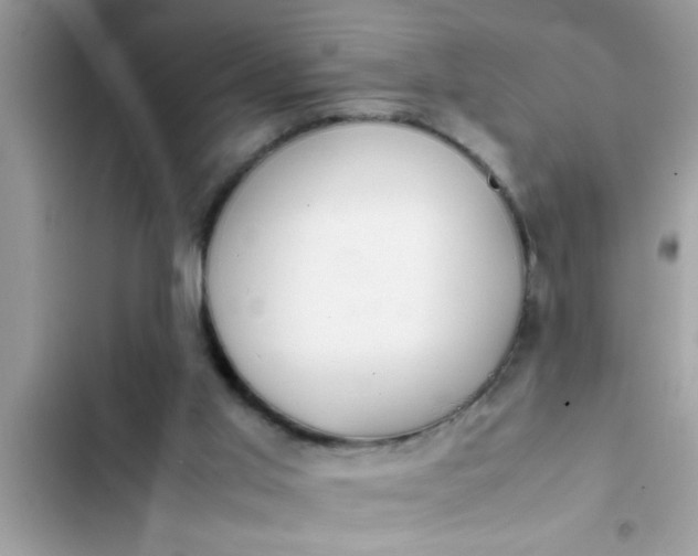 X0000102390013200808151931