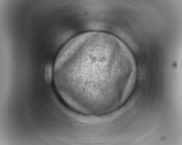 X0000102390014200808151931