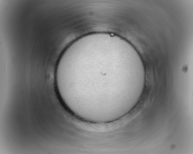 X0000102390015200808151931