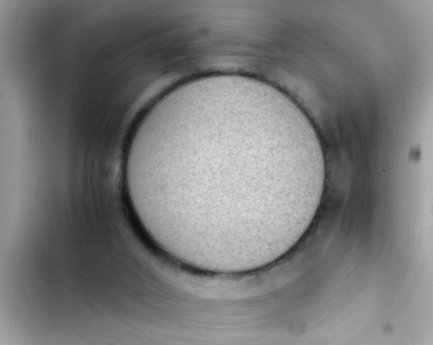 X0000102390016200808151931