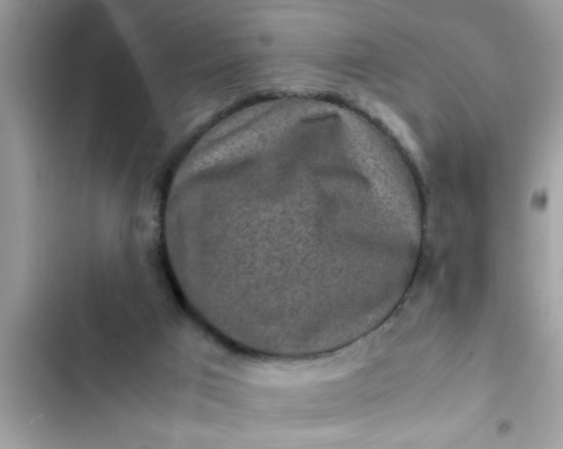 X0000102390017200808151931