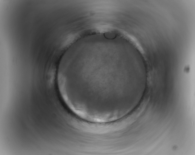 X0000102390018200808151931