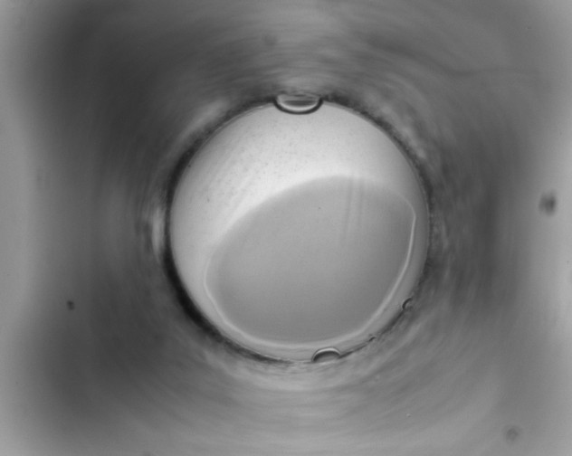 X0000102390019200808151931