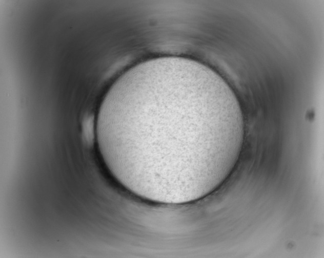 X0000102390020200808151931