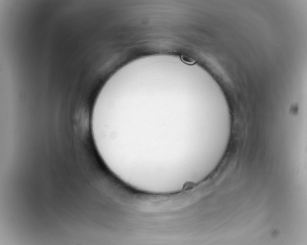 X0000102390021200808151931