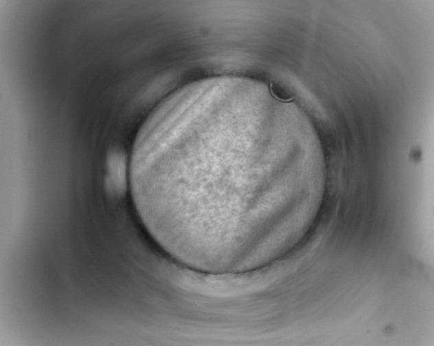 X0000102390022200808151931