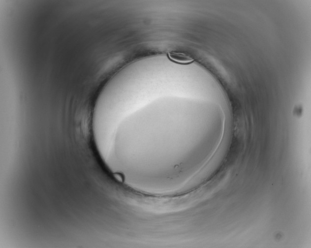 X0000102390023200808151931