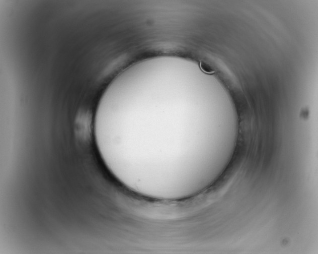 X0000102390024200808151931