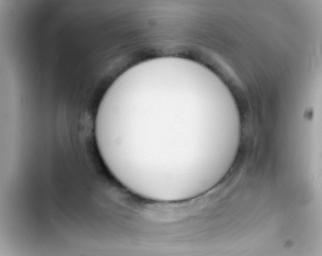 X0000102390025200808151931