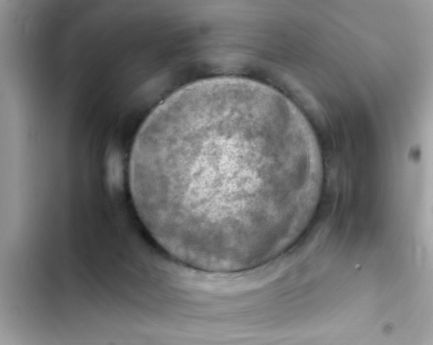 X0000102390026200808151931