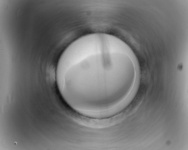 X0000102390027200808151931