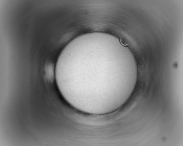 X0000102390028200808151931